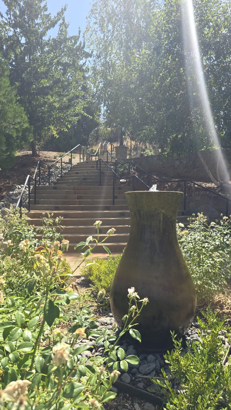 Stone stairway through landscaped gardens at Morton Family Cellars